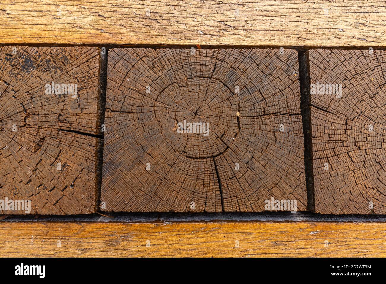 Detail eines Holztisches an der Nachbildung der 1,000 Jahre alten slawischen Festung in Raddusch, Oberspreewald Spree, Brandenburg, Ostdeutschland, Europa Stockfoto