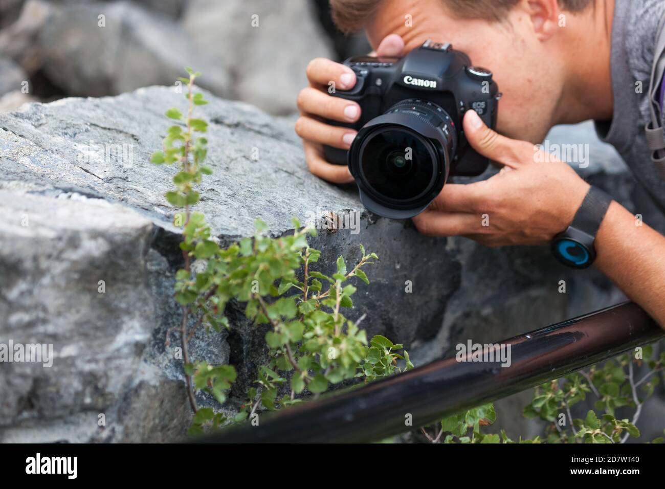 Newberry National Monument, Oregon / USA - 17. August 2014: Ein Fotograf nutzt ein spezielles Objektiv, um einen Frosch an einer Felswand in Newberry N aus der Nähe zu sehen Stockfoto