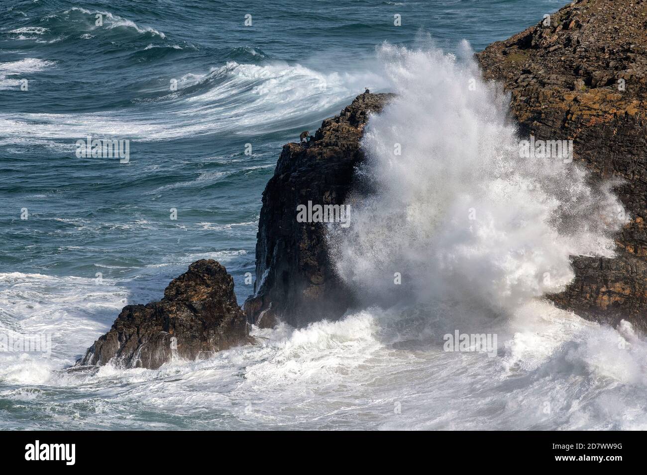 Zwei Fischer trotzen riesigen Wellen auf Klippen in der Nähe von Perranporth Cornwall als starke Winde schlagen den Südwesten der Vereinigtes Königreich Stockfoto