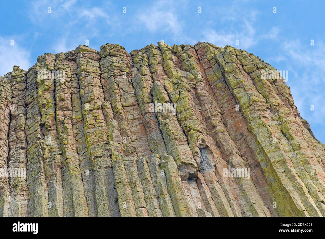 Erodierte Spalte Details an der Spitze des Devils Tower in Devils Tower National Monument in Wyoming Stockfoto