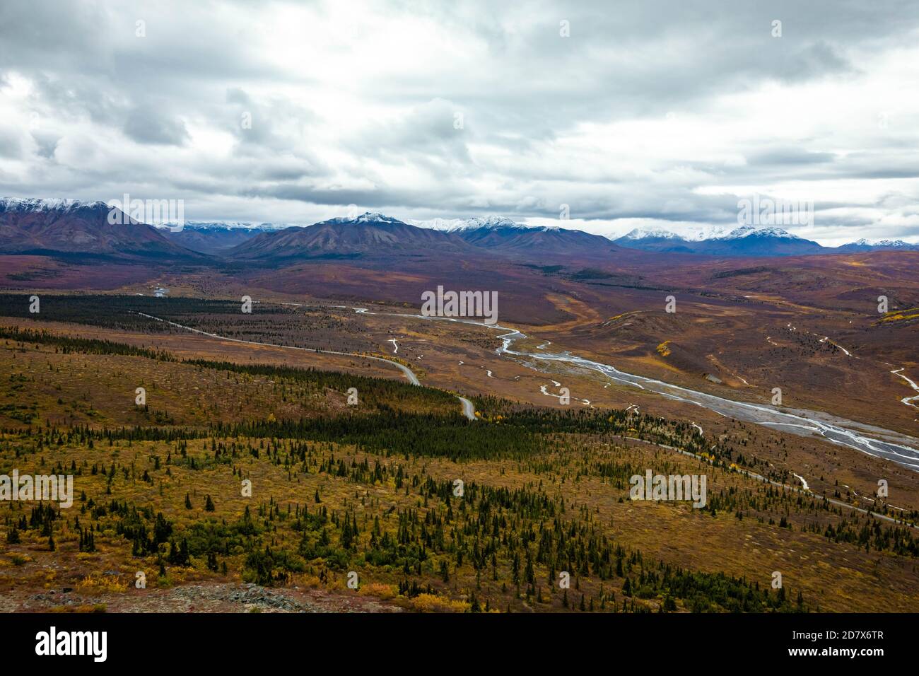 Denali Nationalpark Savage Canyon Trail Blick in Alaska Fallen Stockfoto