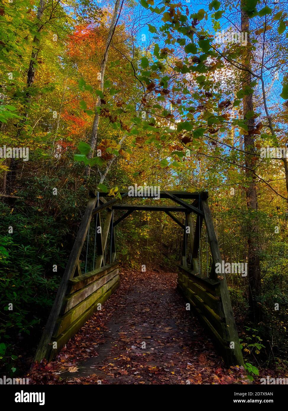 Fallen Sie in den Berg Stockfoto