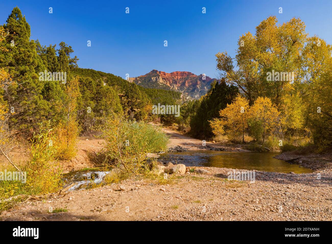 Sonnige Sicht auf die wunderschöne Herbstfarbe um Brian Head Gegend In Utah Stockfoto