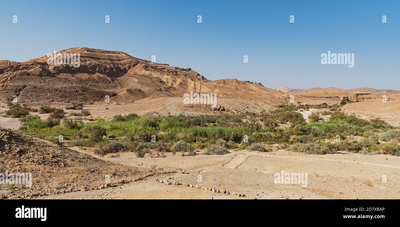 Das üppige Jahr um ein saharonim Frühling im makhesh ramon Krater in israel ist in krassem Gegensatz zum Umgebung raue trockene Wüstenberge Stockfoto