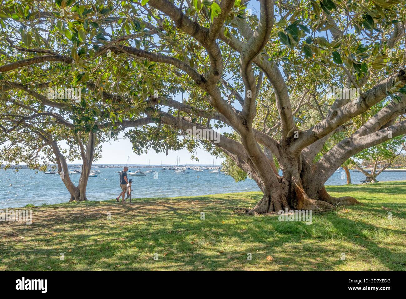 PERTH, WESTERN AUSTRALIA - 25. OKTOBER 2020: Ein nicht identifizierter Mann und seine Tochter gehen in Matilda Bay in Perth, Westaustralien. Stockfoto