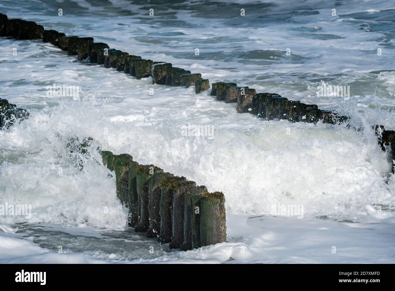 Brechende Wellen auf zweireihigen hölzernen Wellenbrechern an der Nordseeküste in Westkapelle, Zeeland, Niederlande. Stockfoto