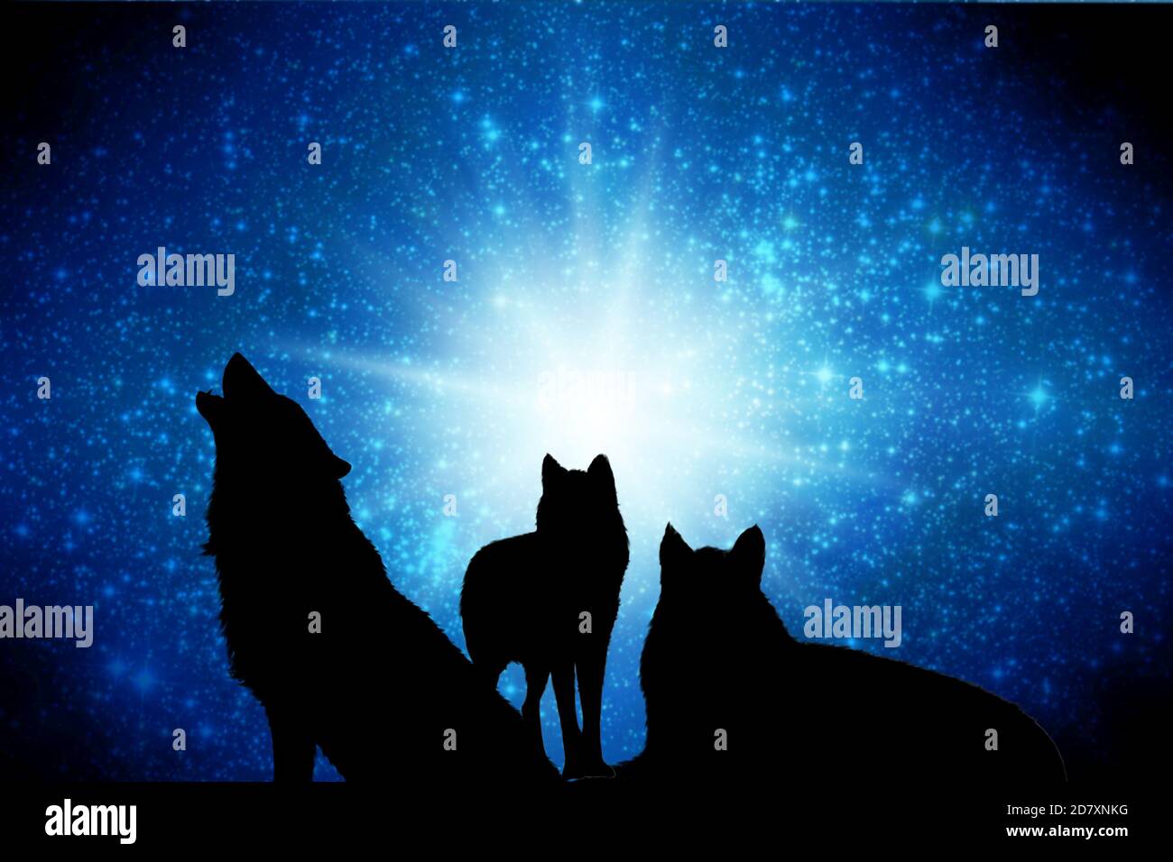 Wölfe packen Silhouette vor Sternenhimmel Stockfoto