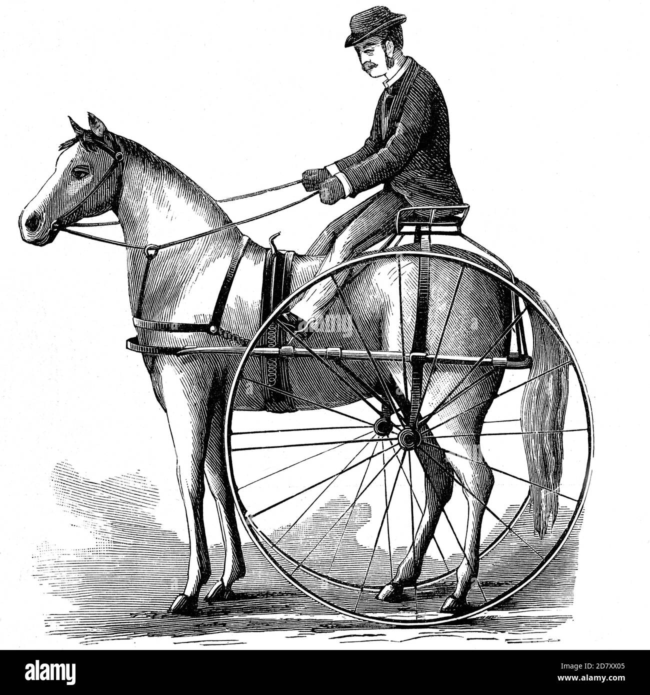 Die schnelle Sulky erfunden von C. F. Stillman aus Plainfield, New Jersey, USA. Antike illkustration. 1882. Stockfoto