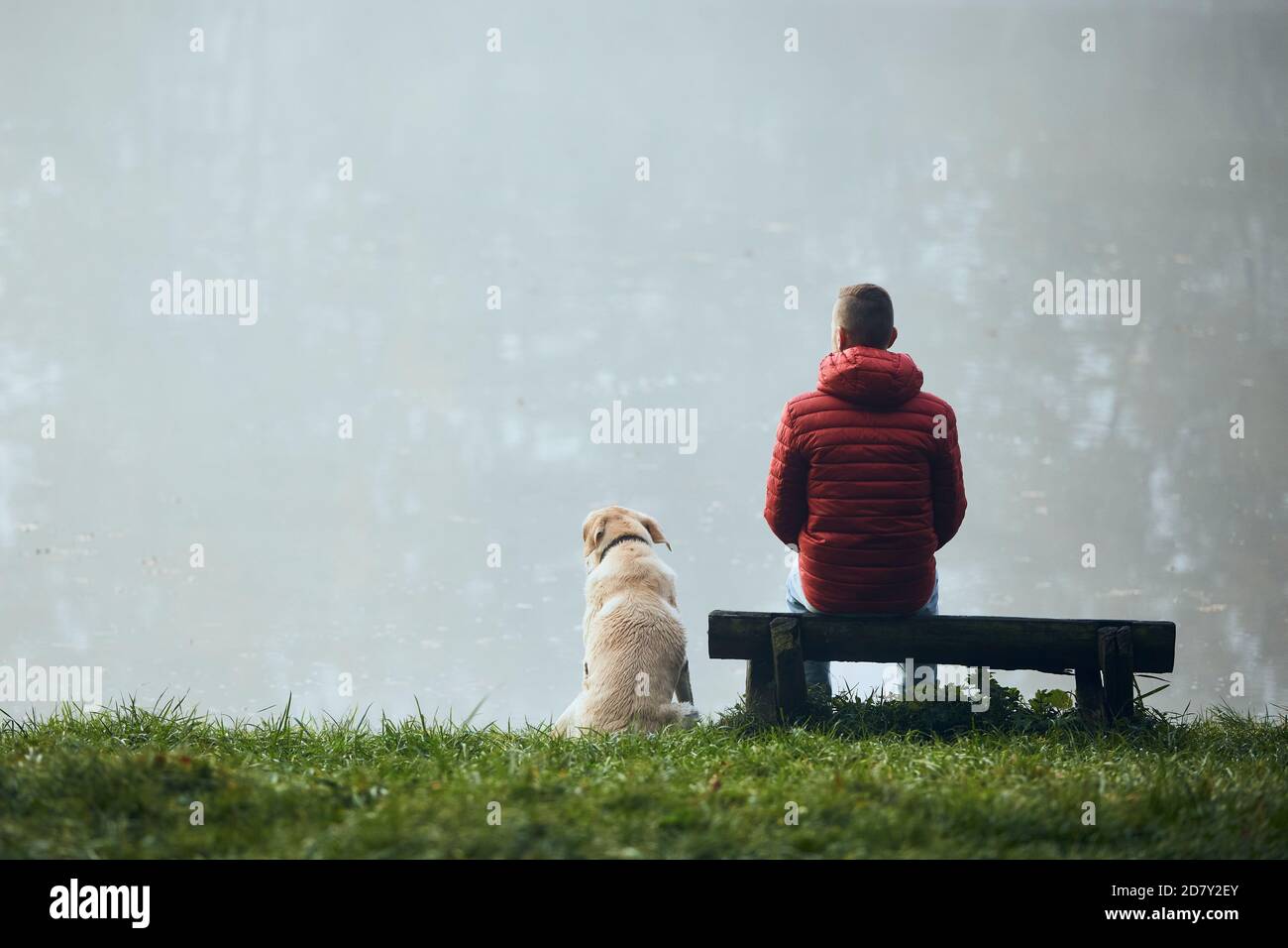 Rückansicht des jungen Mannes mit Hund am Seeufer. Haustierbesitzer mit seinem labrador Retriever beim nebligen Wetter auf den See schauen. Stockfoto