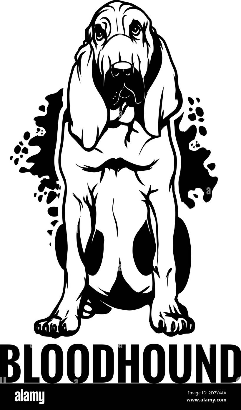 Bloodhound - Hund Glücklich Gesicht Paw Puppy Pup Haustier Clip Art K-9 Cop Police Logo SVG PNG Clipart Vektor Cricut Schneiden Stock Vektor