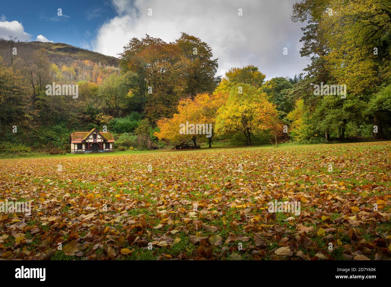 Herbst im Craig-y-Nos Country Park Stockfoto