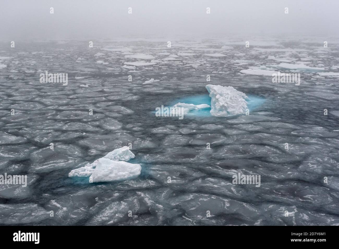 Treibendes Eis im Arktischen Ozean in Spitzbergen. Das Packeis schwimmt als Eisschild auf dem Meer im Polarkreis nördlich von Spitzbergen. Stockfoto