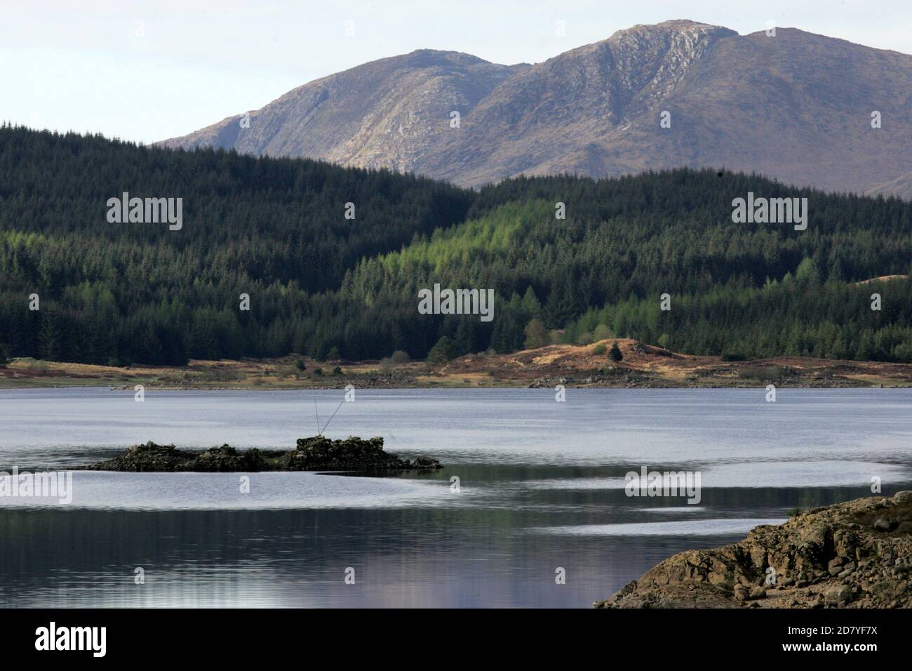 Loch Doon Castle, Dumfries & Galloway Scotland, Großbritannien. Loch Doon Castle wurde Ende 1200s von den Bruce earls of Carrick erbaut. Es mag von Robert the Bruce selbst gebaut worden sein, aber es ist wahrscheinlicher, dass es von seinem Vater, auch Robert genannt, gebaut wurde. Der größte Teil der Burg wurde Stein für Stein sorgfältig abgebaut und das gekleidete Aschlar 1935 auf dem Festland rekonstruiert. Dies wurde getan, um seine feine, ungewöhnliche Vorhangwand vor den steigenden Wasserständen zu bewahren, die durch das Wasserkraftwerk verursacht wurden. Stockfoto