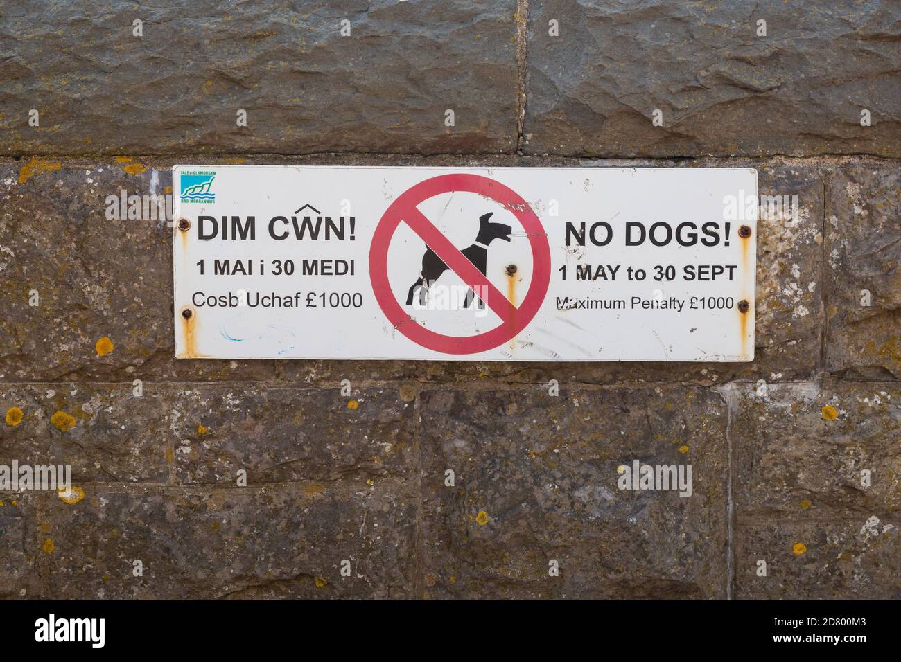 Schild, das Hunde vom Strand auf Barry Island, Glamorgan, South Wales, in walisischer und englischer Sprache verbietet Stockfoto