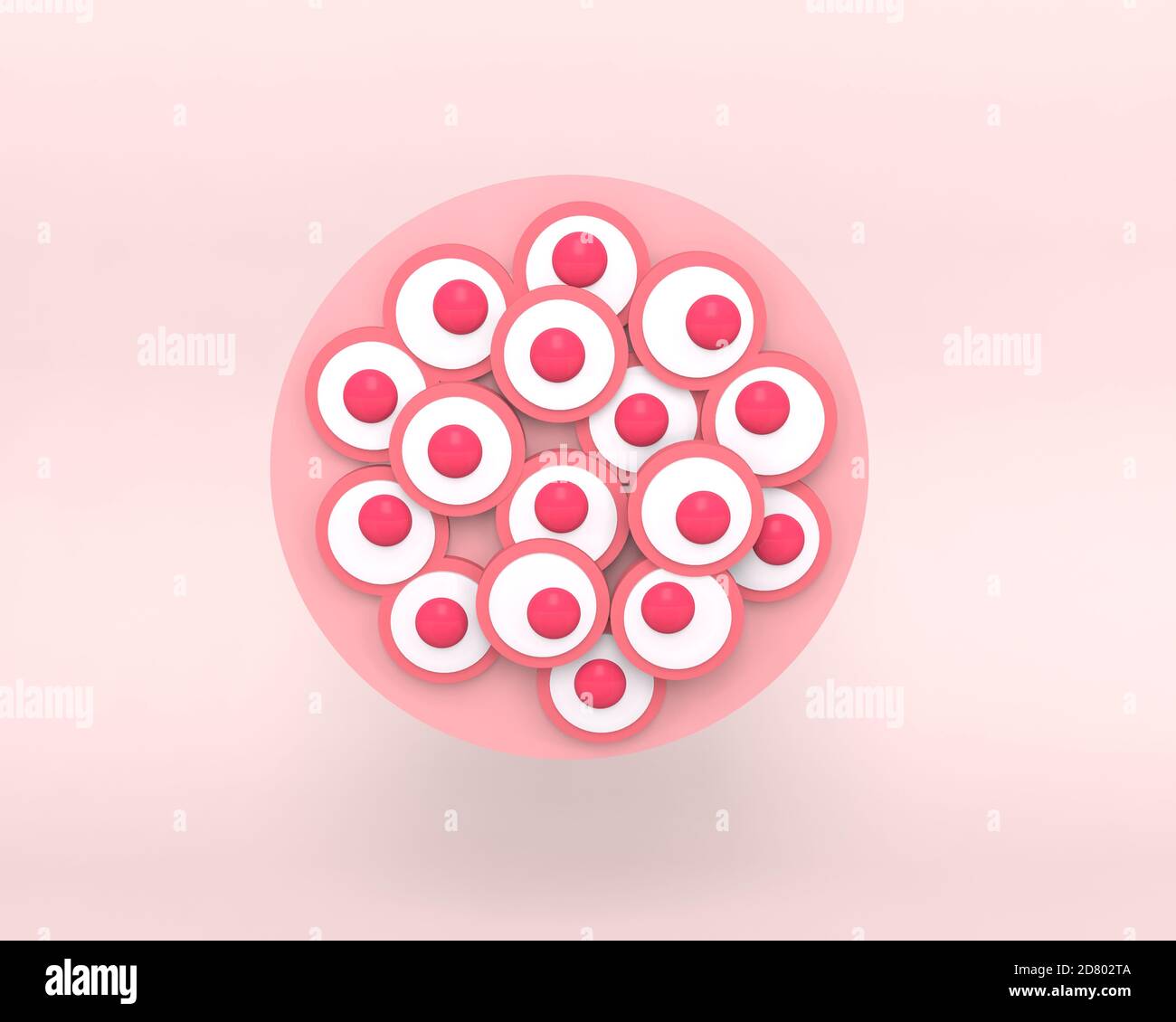 Morula. Die Embryonalzelle von 16 Blastomeren in einer festen Kugel, die in der Zona pellucida enthalten ist. 3d-Rendering medizinische Illustration. Stockfoto