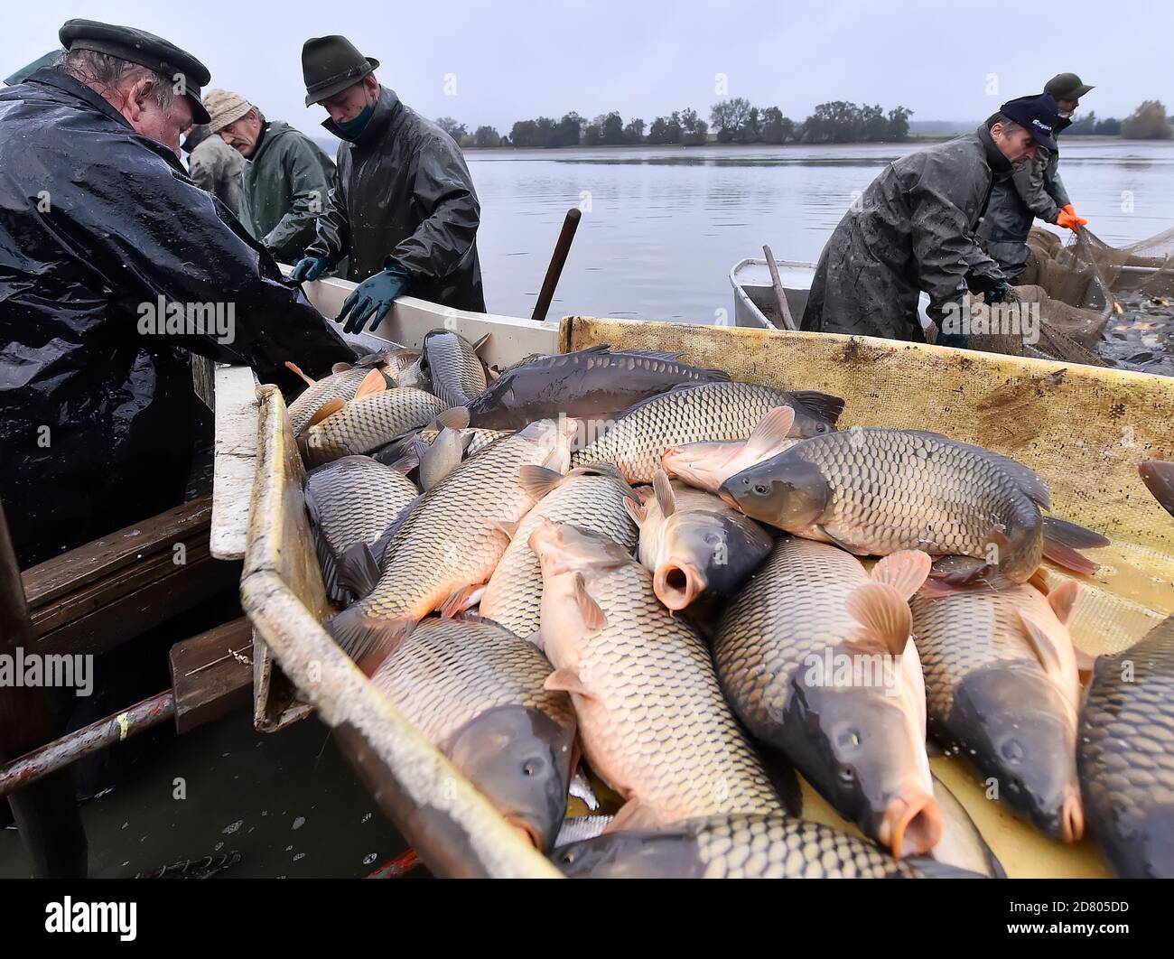 Nove veseli teich Fotos und Bildmaterial in hoher Auflösung Alamy
