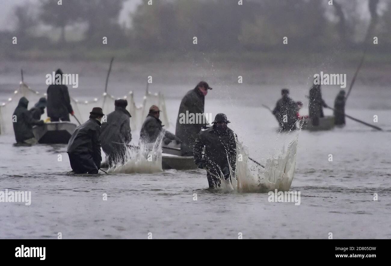 Nove veseli teich Fotos und Bildmaterial in hoher Auflösung Alamy
