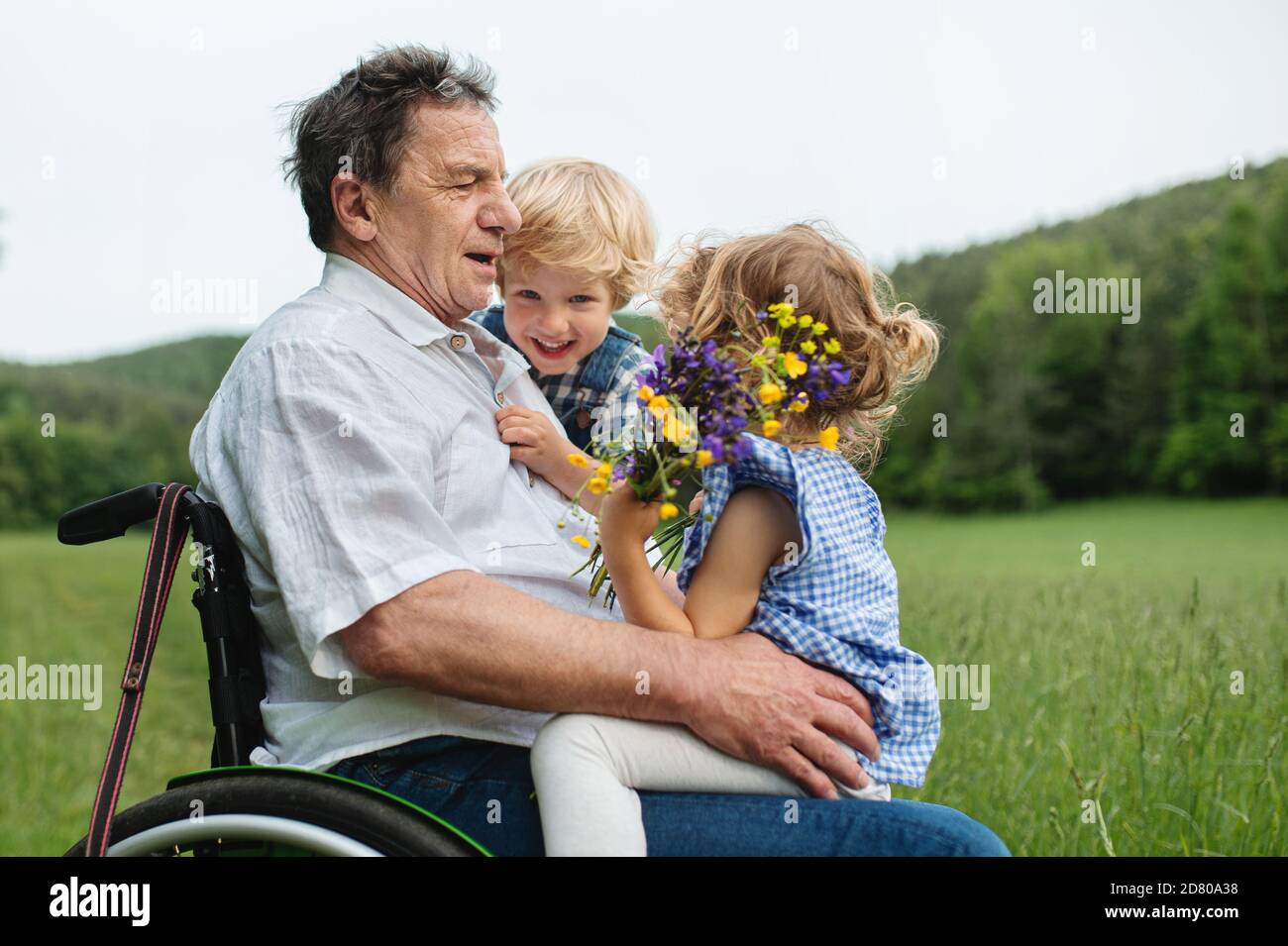 Kleine Kinder mit älteren Großvater im Rollstuhl auf einem Spaziergang auf der Wiese in der Natur. Stockfoto