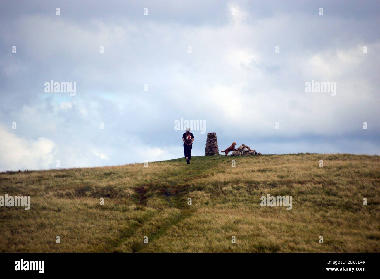 Mann auf dem Weg mit Hund zum Gipfel Cairn auf dem Wainwright 'Lank Rigg' Lake District National Park, Cumbria, England, Großbritannien. Stockfoto
