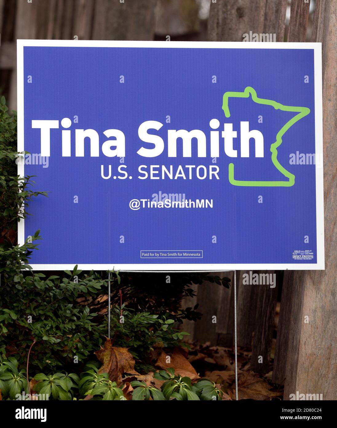Ein 2020 Wahl periwinkle grünen und weißen Hof Zeichen für Minnesota Vereinigte Staaten Senatorin Tina Smith Stockfoto