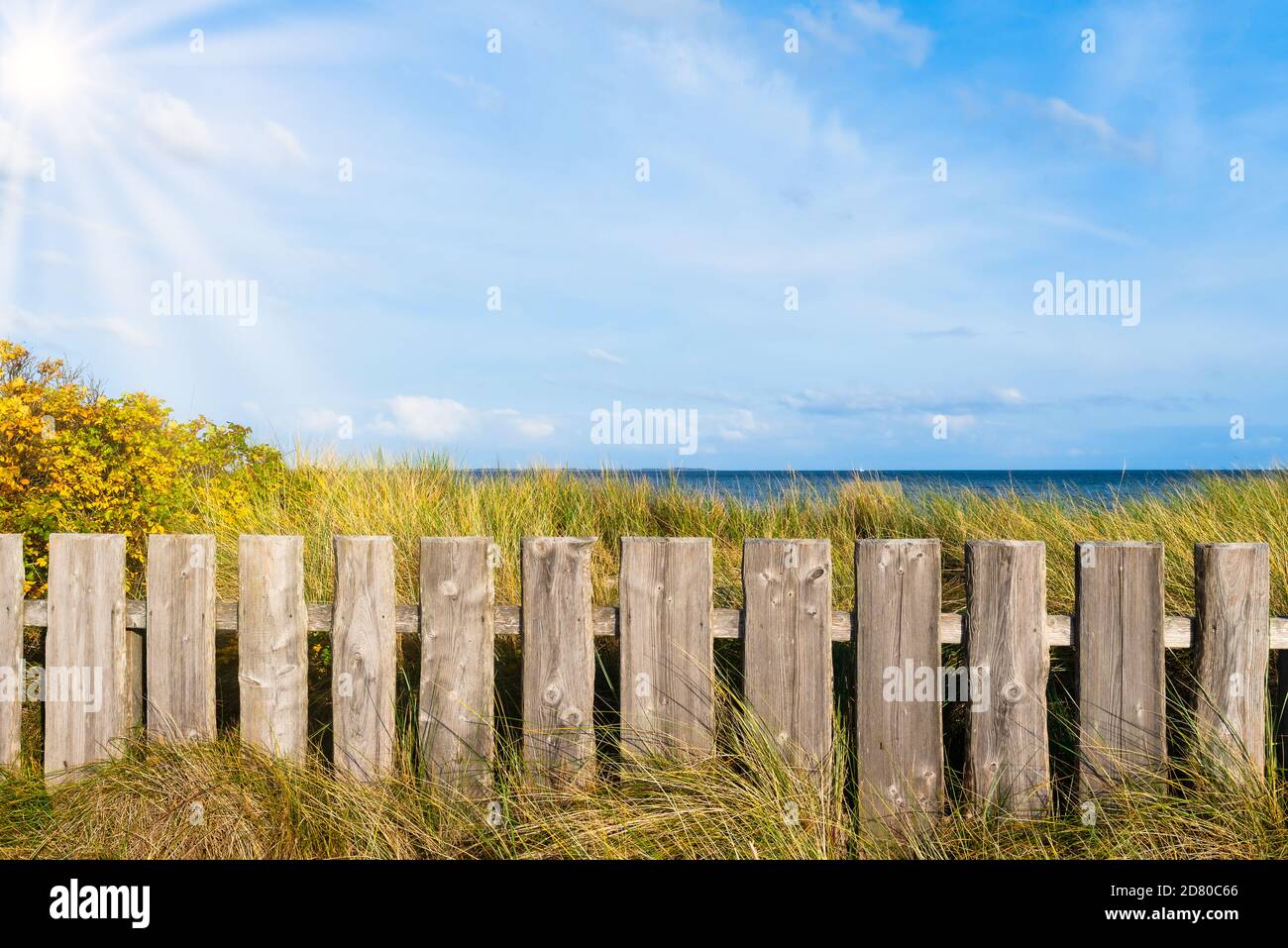 Holzzaun am Strand Gras bedeckt Dünen gegen Meer und Blauer Himmel Stockfoto