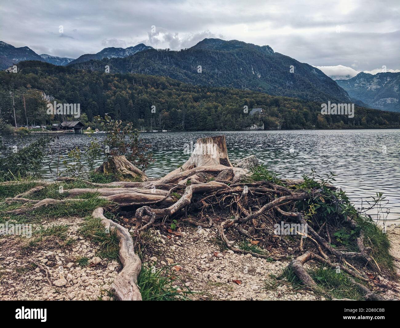 Landschaftlich schöne Berglandschaft und Bohinj See in Herbst Stockfoto