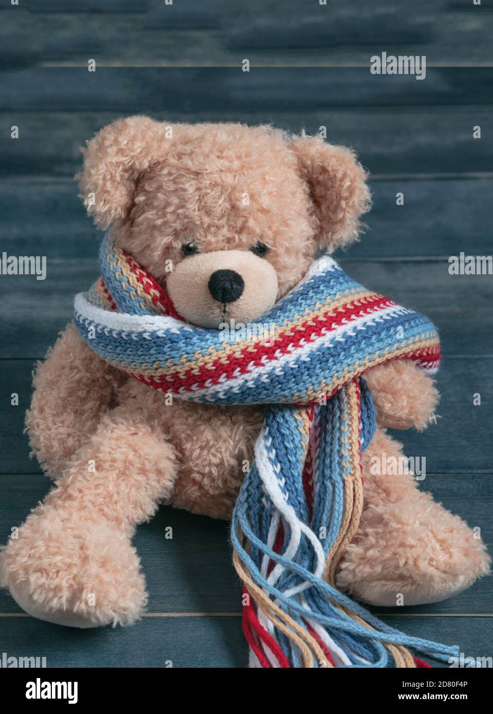 Winter, kaltes Wetter, Einsamkeit. Teddy mit Schal allein auf einer Holzbank sitzend, Stockfoto