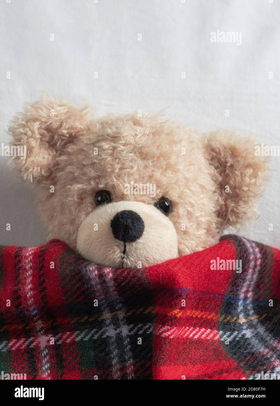 Kinder schlafen. Niedlicher Teddy, der mit einer warmen Decke bedeckt ist und im Bett ruht Stockfoto