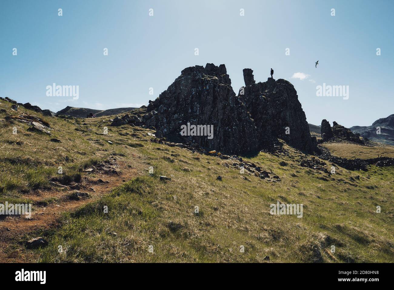 Eine Einzelfigur steht auf einer Basalt-vulkanischen Gesteinsformation, die in der isländischen Innenlandschaft mit einem niedrig fliegenden Vogel freigelegt ist, der sein Nest schützt. Stockfoto