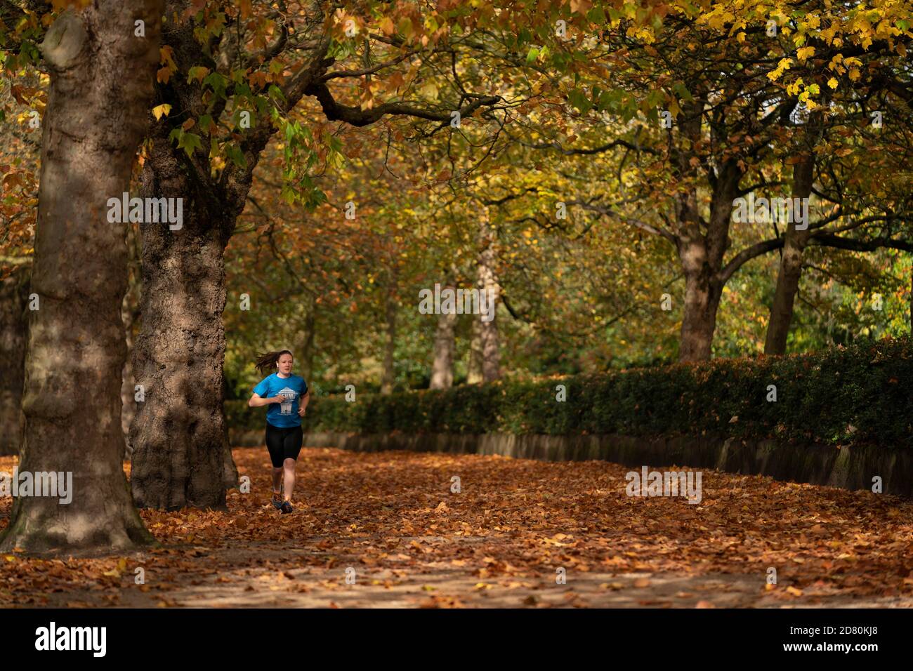 Liverpool, Großbritannien. Oktober 2020. Ein Läufer wird unter Herbstblättern in der Nähe von Sefton Park in Liverpool, Großbritannien, gesehen. Kredit: Jon Super/Alamy Live Nachrichten. Stockfoto