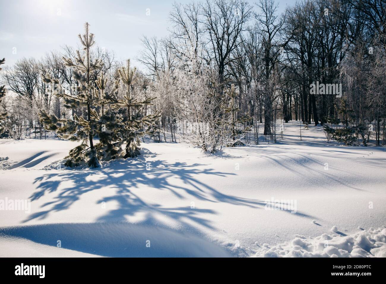 Winter frostige Landschaft am Mittag. Bäume sind mit Frost bedeckt Stockfoto Winter frostige Landschaft am Mittag. Bäume sind mit Frost bedeckt Stockfoto