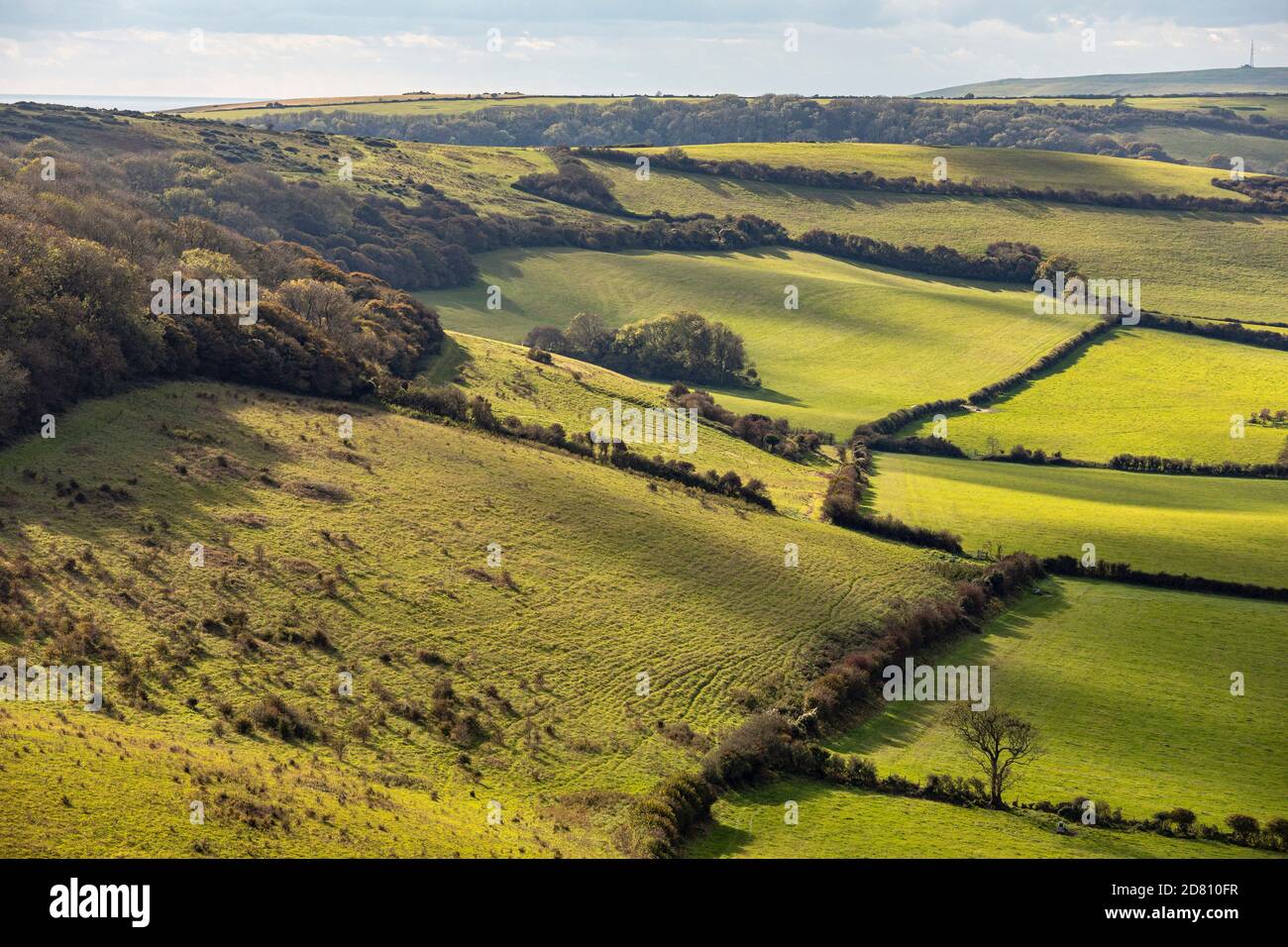 Blick von Luccombe Down in Richtung Wroxall Down, Isle of Wight Stockfoto