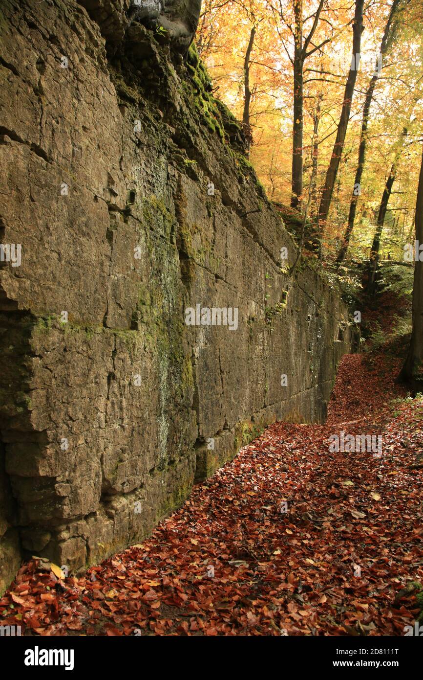 Highwood Bank Kalksteinbruch auf dem Croft Castle Anwesen, Herefordshire, England, Großbritannien. Stockfoto