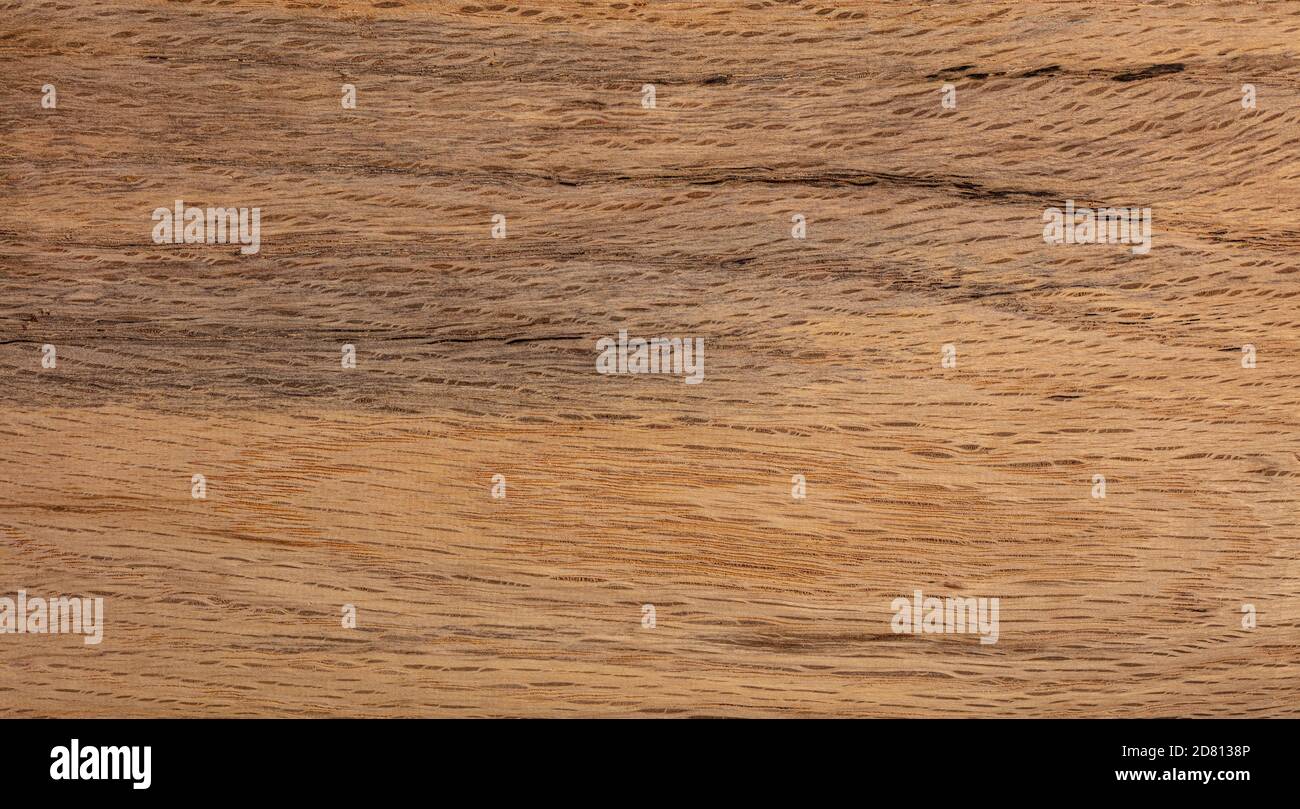 Aprikosenholz natürliche Textur Stockfoto