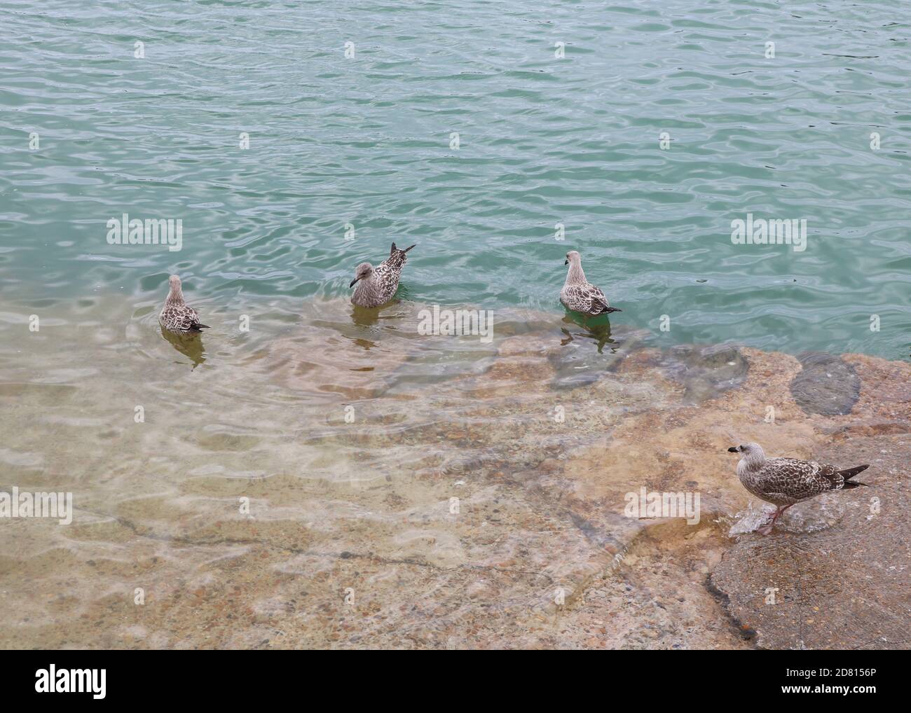 Folkestone, Kent Stockfoto