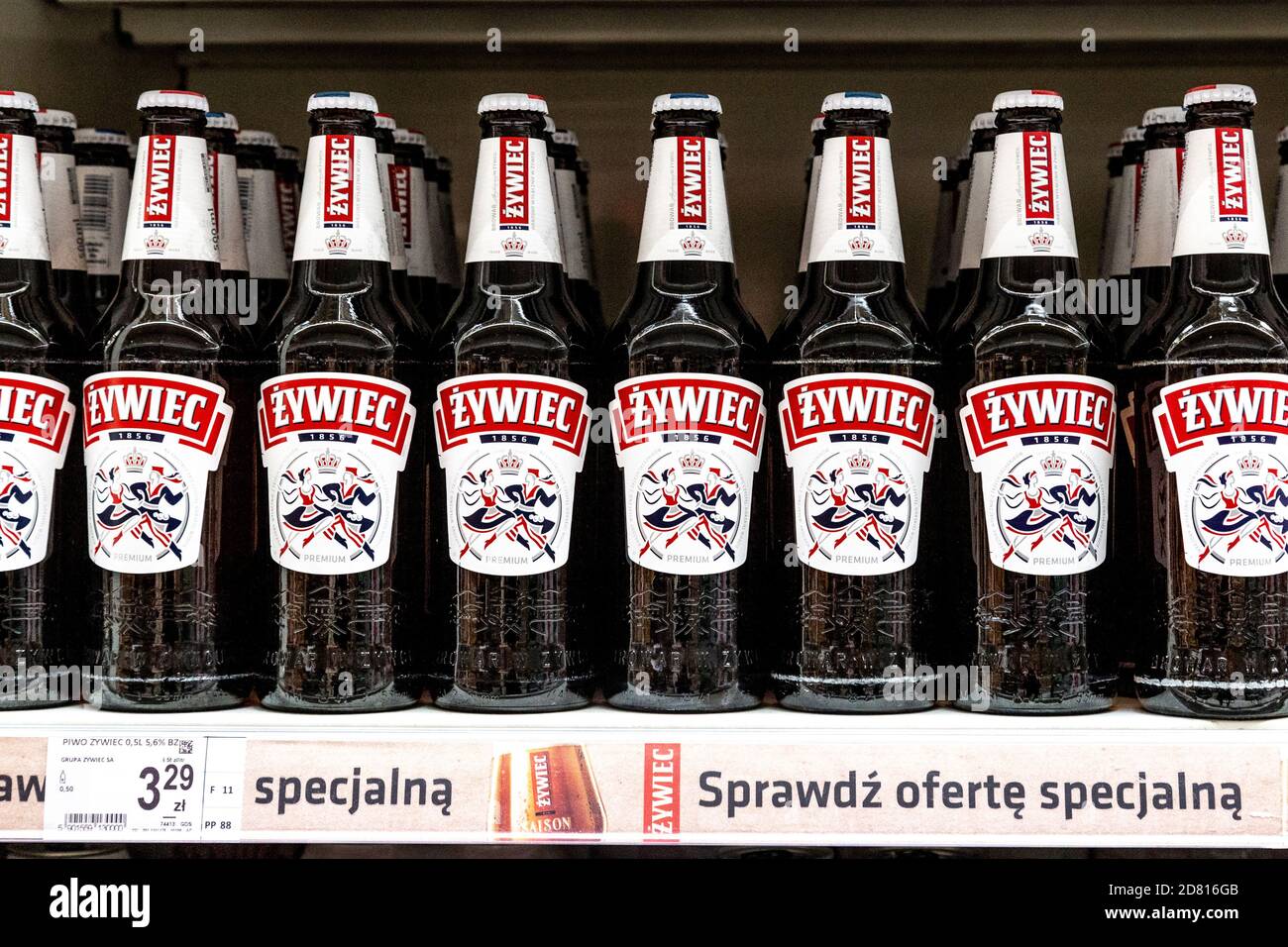Polnisches Bier Zywiec auf einem Regal im Supermarkt Stockfoto