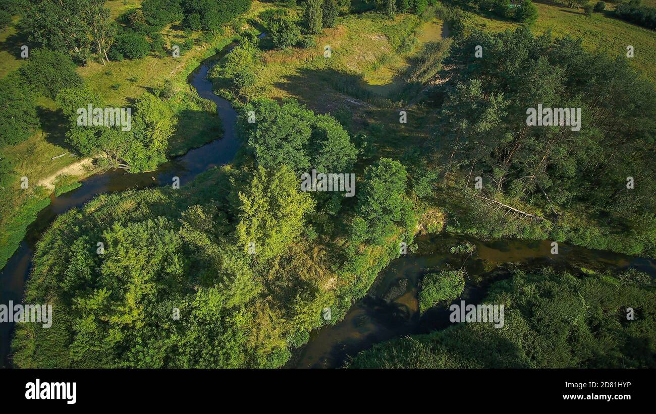 Niedriger Überflug über einen kleinen wilden Fluss an einem Sommertag, Fluss Grabia, Polen. Stockfoto