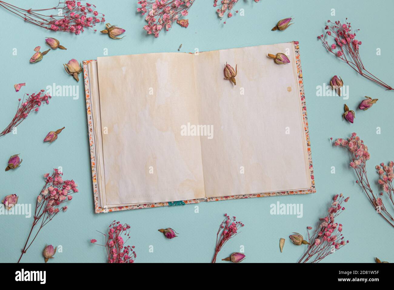Rosa Blüten flach legen. Leeren Sie den alten Notizblock Stockfoto