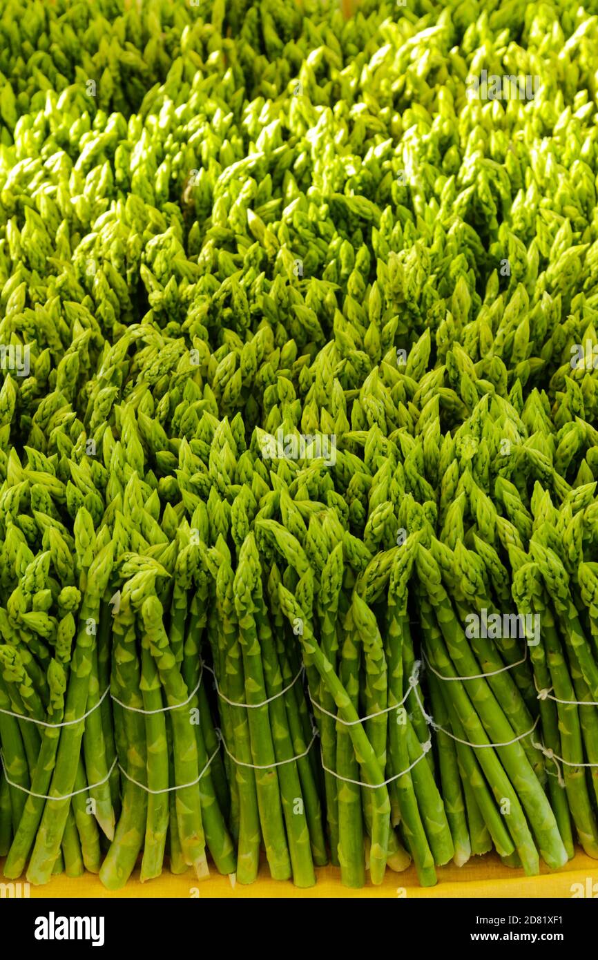 Grüner & weißer Spargel auf einem deutschen Marktstand. Stockfoto