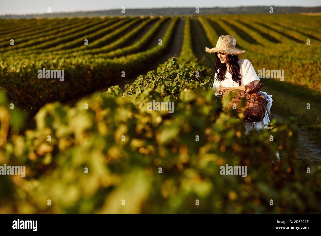 Mädchen auf einer Johannisbeerplantage. Stockfoto