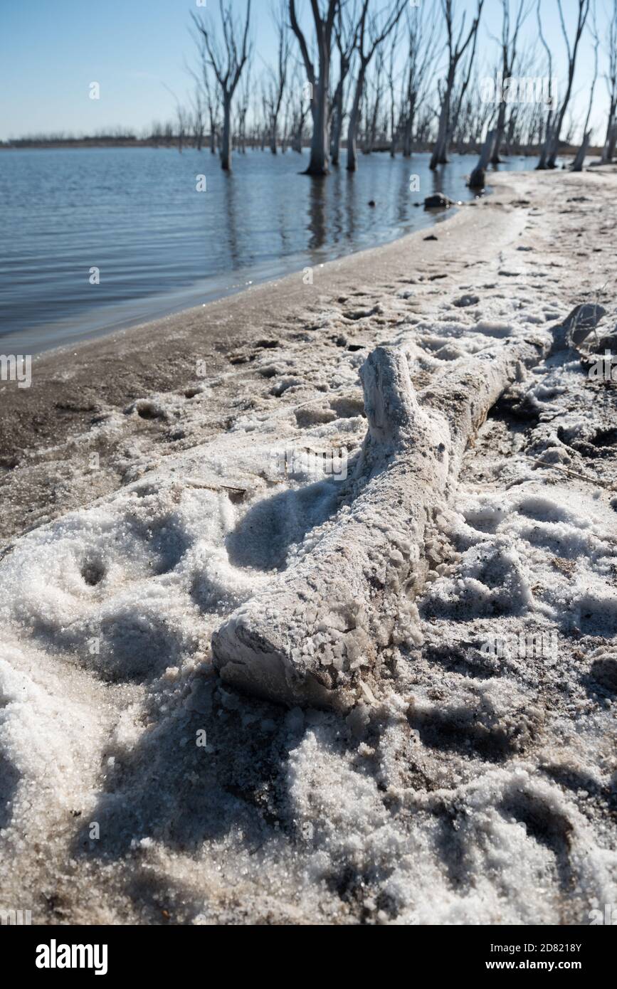 Soudium sulfat als natürliches Phänomen in Epecuen, Provinz Buenos Aires, Argentinien Stockfoto