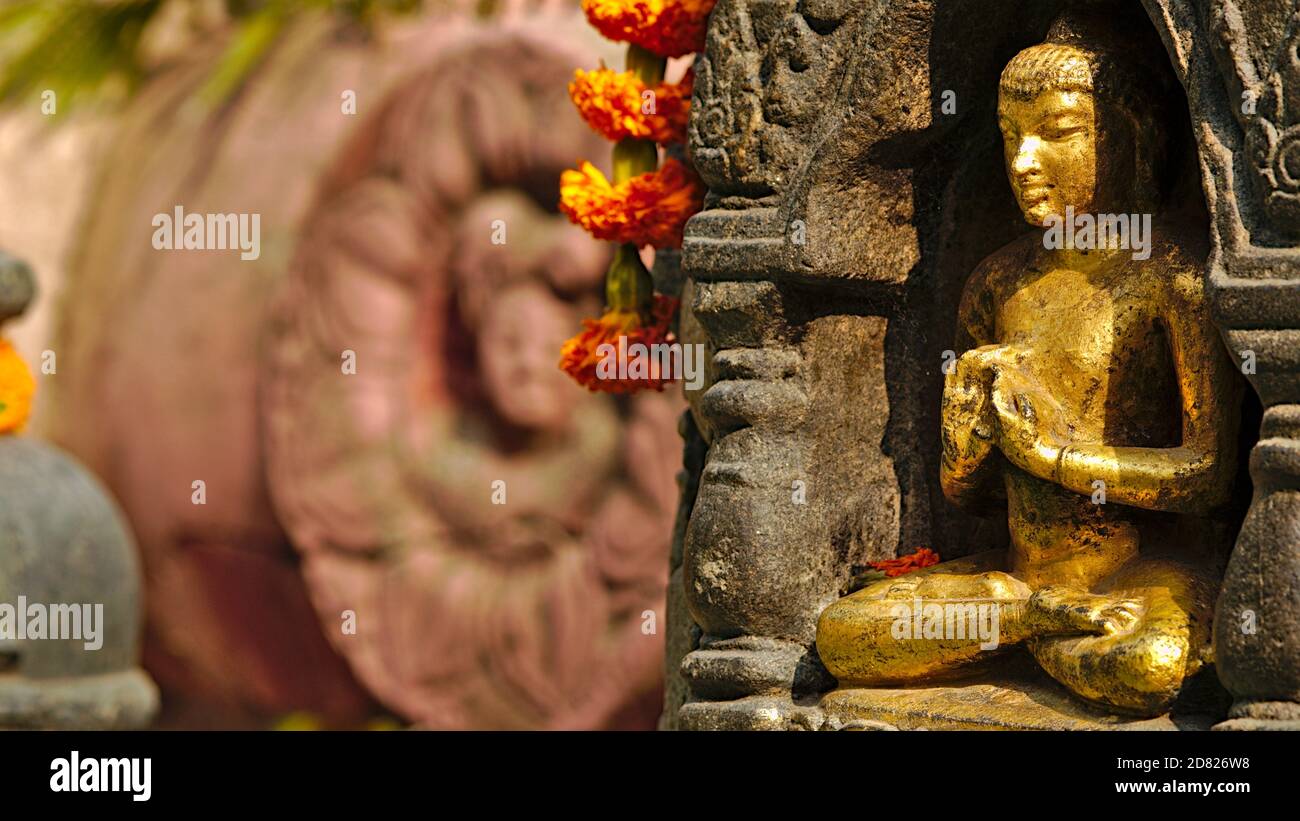 Mit Buddha im Tank - EIN Roadmovie von Ein Aussteiger und digitaler Nomade in ganz Indien Stockfoto