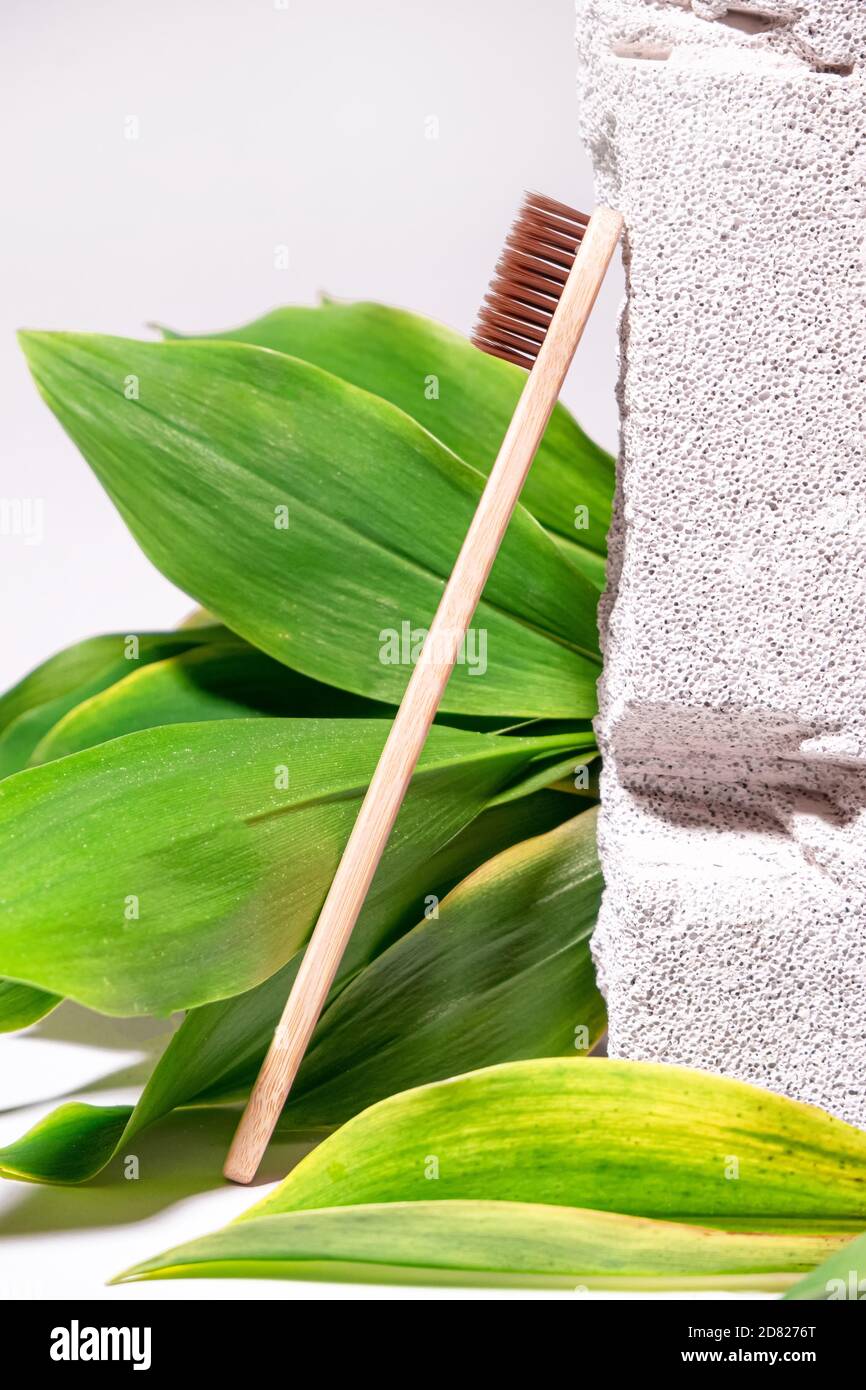 Natürlicher Hintergrund mit Bambuszahnbürste, grünen Blättern und weißem Strukturstein. Stillleben Tapete. Leerzeichen für Text. Keine Abfallprodukte Stockfoto