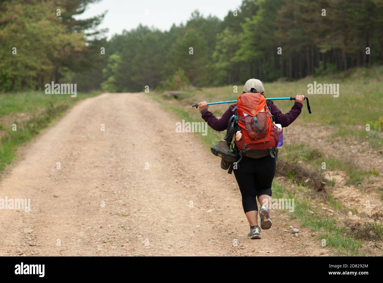 Pilgerfrau, die in Einsamkeit durch die Montes de Oca auf dem Camino de Santiago Francés geht. Stockfoto