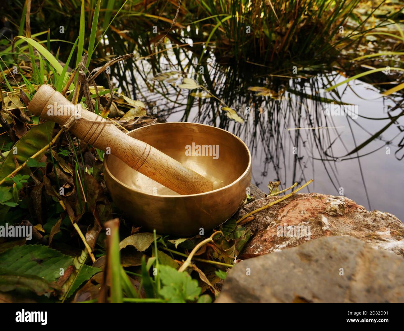 Singende Schüssel auf einem Felsen mit einem Teich in gesetzt Hintergrund Stockfoto