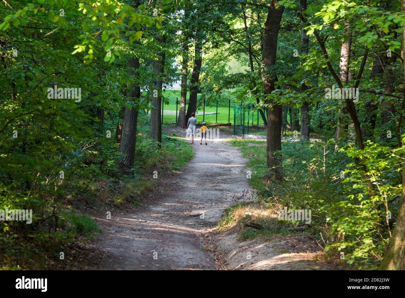 Schwester und kleiner Bruder Rückansicht Wandern im Wald auf Fußweg, Sopron, Ungarn Stockfoto