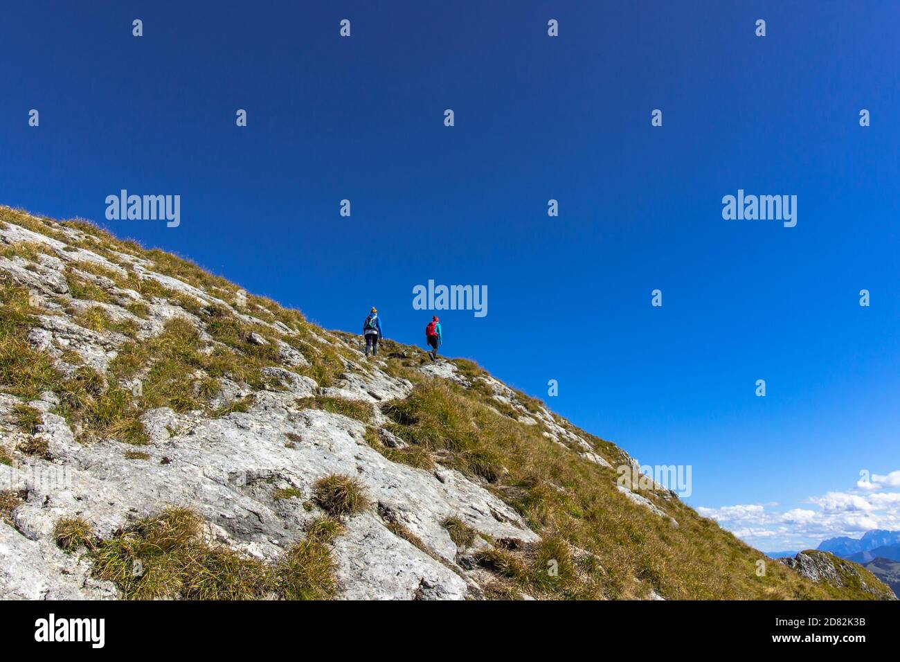 Aktive Mädchen wandern auf den Gipfel der Alpen, Österreich. Erfolgreiche weibliche Backpacker genießen ihr Abenteuer. Wandern an hellen sonnigen Sommertag.Wanderlust Stockfoto