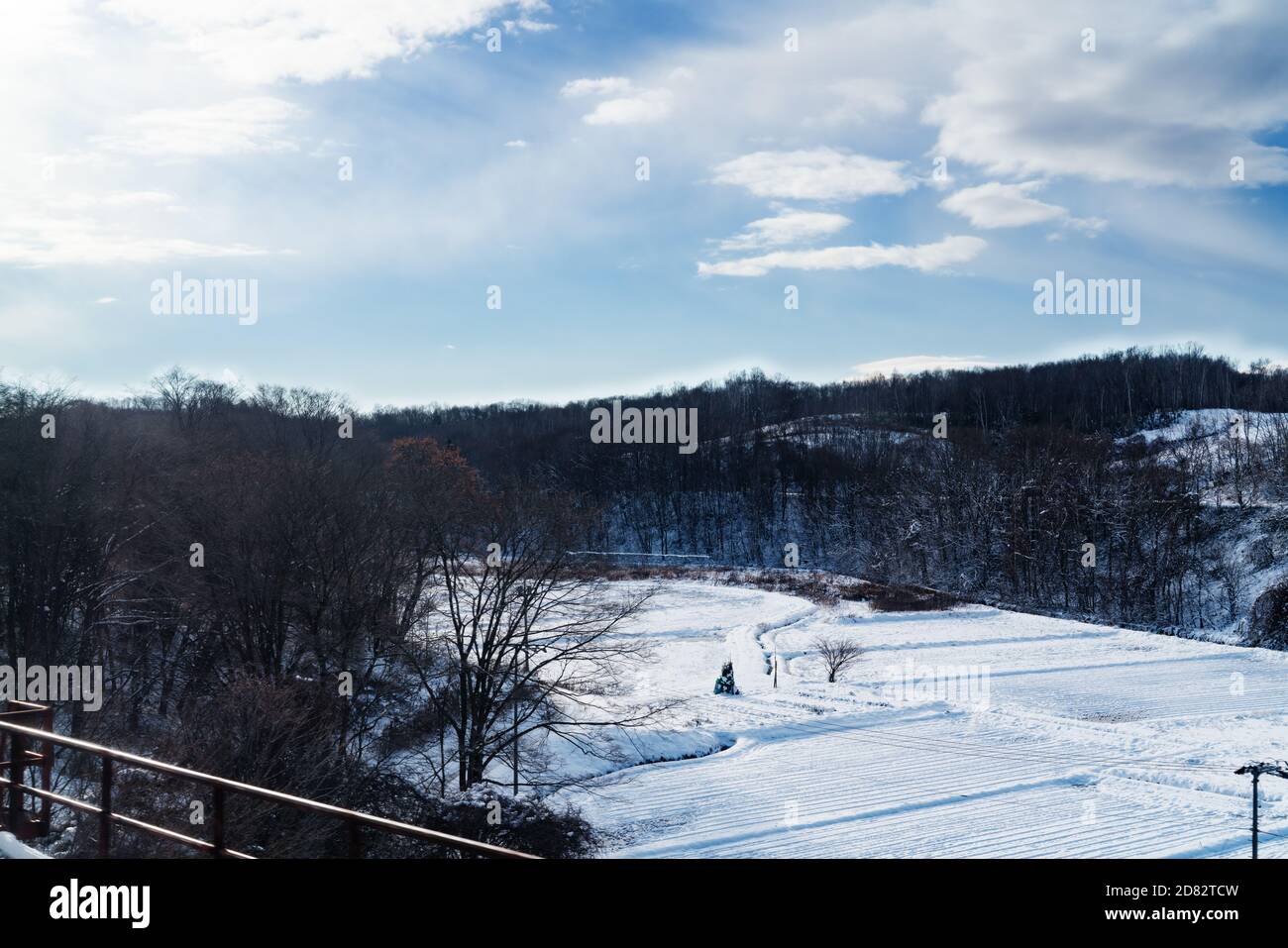 Rasen bedeckt mit weißem Schnee in frostigen Wintertag mit Blauer Himmel Stockfoto