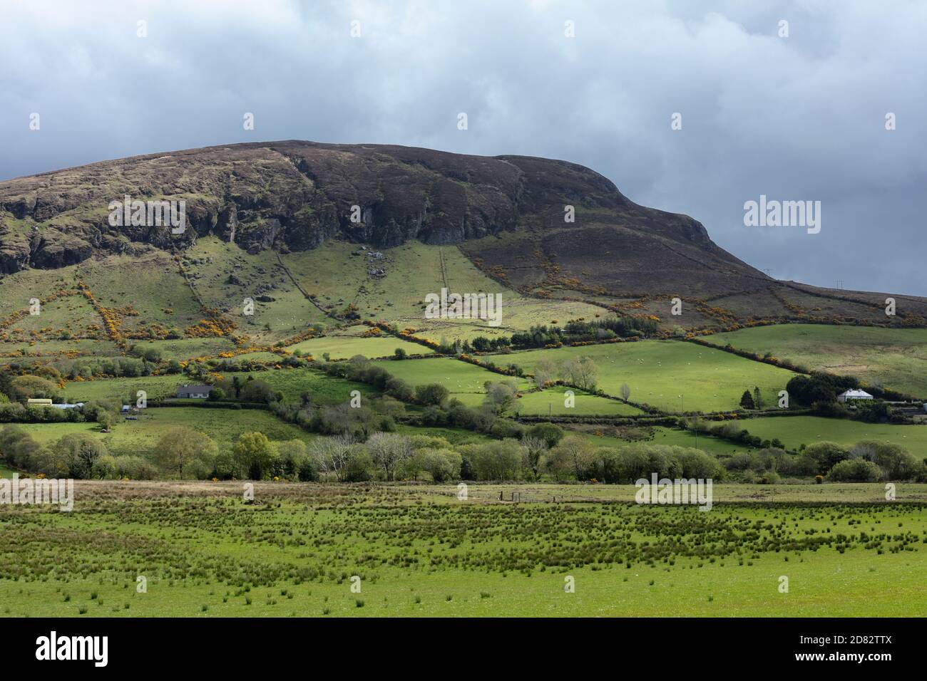 Berg in der Grafschaft Mayo, im Westen Irlands, zeigt die kleinen Felder, die von Hecken begrenzt sind. Stockfoto