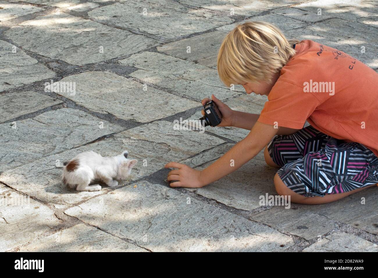 Meteora, Griechenland - 27. Juli 2009: Ein Kind versucht sofort, ein Kätzchen mit einer Kompaktkamera im Hof des Großen Meteorons Mona zu füttern und zu schießen Stockfoto